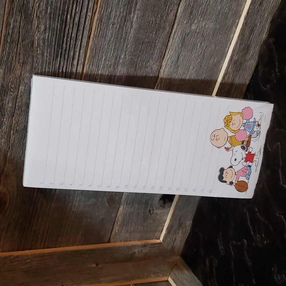 100 page team Peanuts football list memo sheets NWT